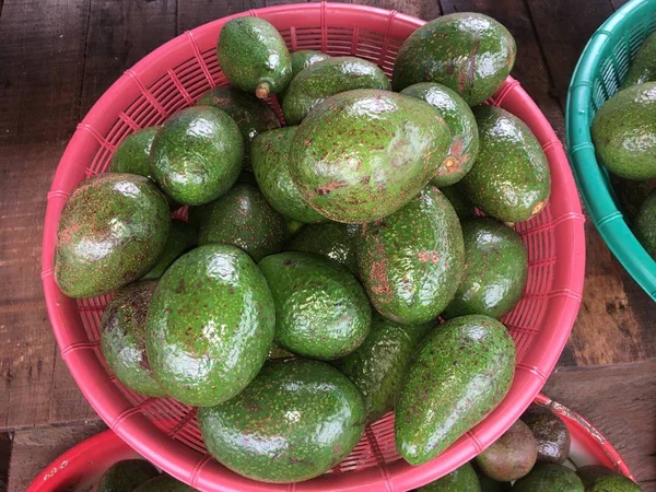 Avocavo Paksong Champasak Laos Pdr — Fotografia de Stock