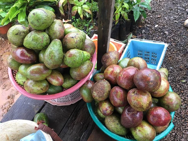 Avocavo Paksong Champasak Laos Pdr — Foto Stock