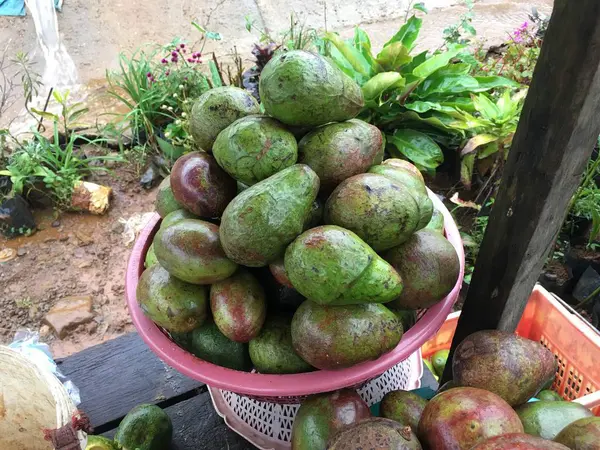 Avocavo Paksong Champasak Laos Pdr — Foto Stock