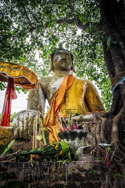 Buddha Nelle Arti Del Laos — Foto Stock