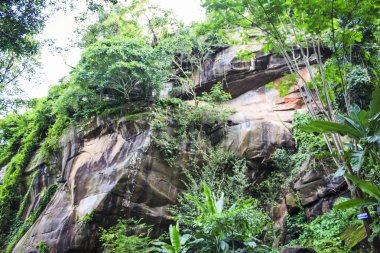 Wat Phu bir Dünya Mirası Alanı, Laos en eski tarihi yerlerinden biri bir Hindu tapınağı.