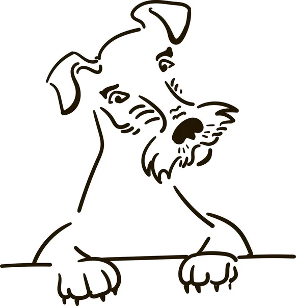 Niedliche Airedale Terrier Suchen — Stockvektor