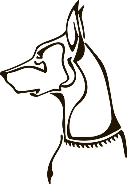 Hoofd Van Dobermann Pinscher Hond — Stockvector