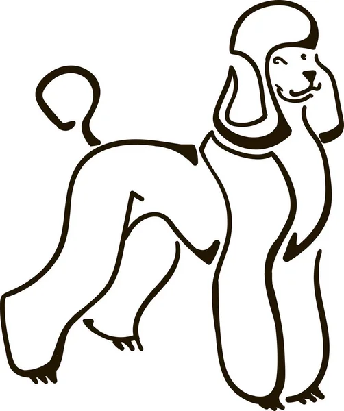 Orgoglioso Barboncino Cane Illustrazione — Vettoriale Stock