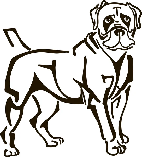 Mastiff Cane Illustrazione Vettore — Vettoriale Stock