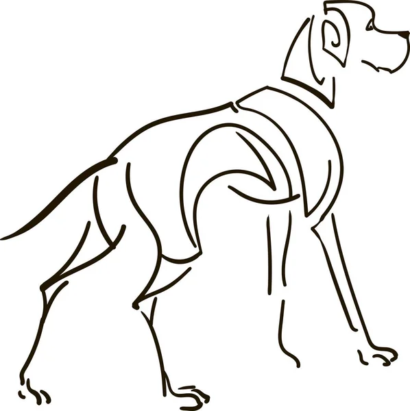 ポインターの犬 — ストックベクタ