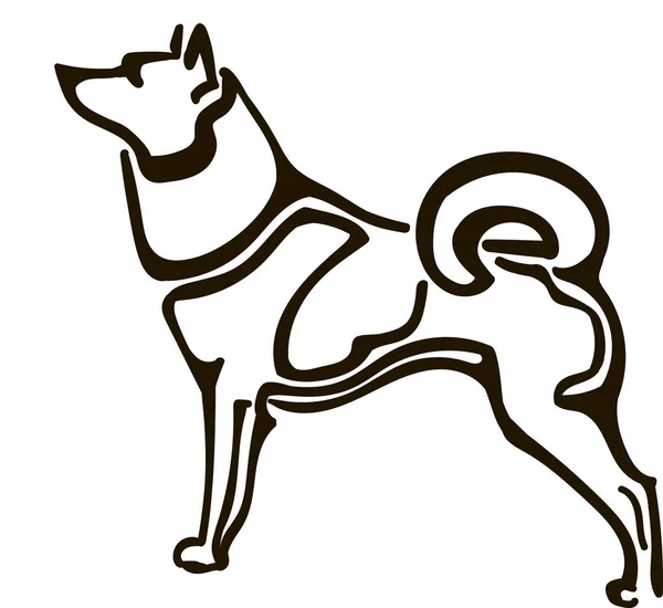 Illustrazione Vettoriale Husky Siberiana — Vettoriale Stock