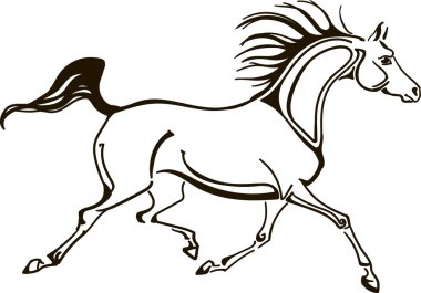 Arabian horse vector illustration  clipart