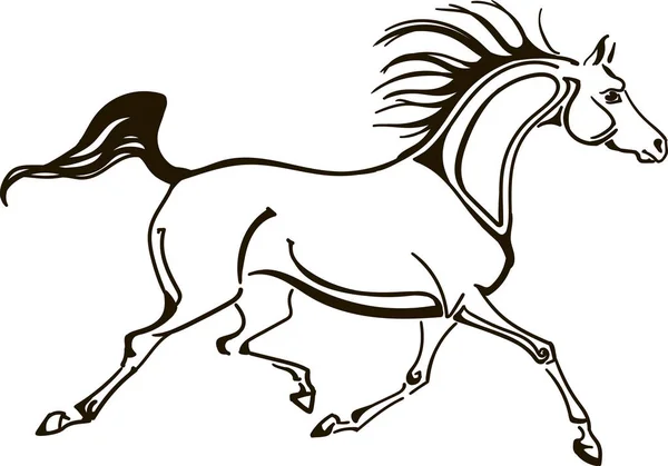 Illustrazione Vettoriale Cavallo Arabo — Vettoriale Stock
