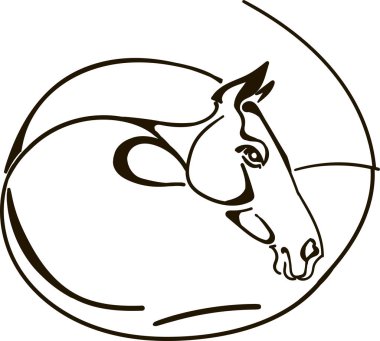 Akhal teke atı vektör çizim 