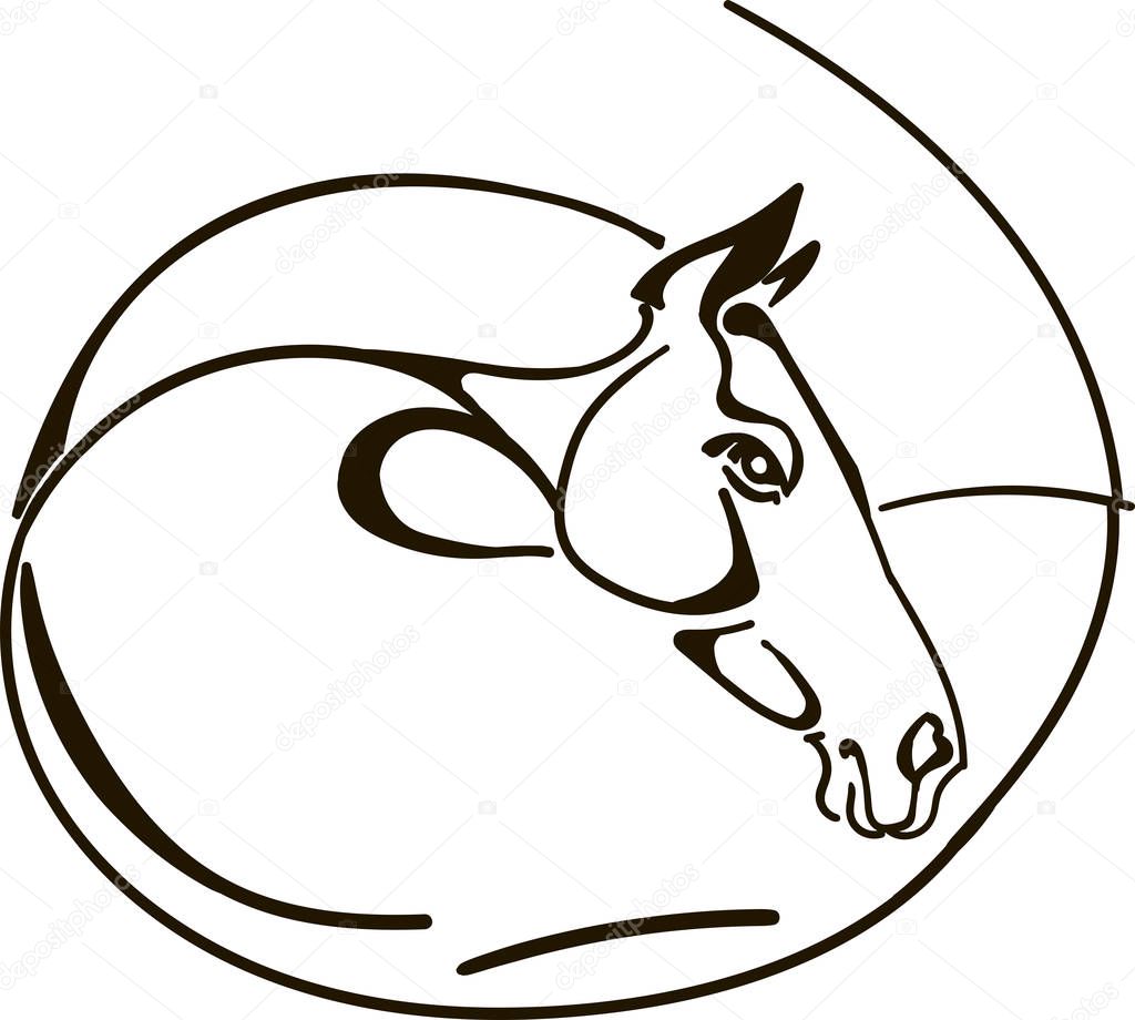 Akhal teke horse vector illustration 