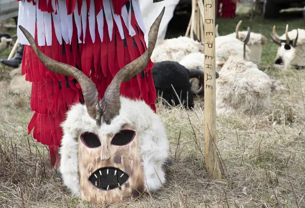 Masquerade festival in Zemen, Bulgaria. — Stock Photo, Image