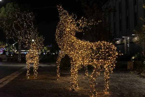 Christmas Reindeer Decoration Tirana Albania — Stock Photo, Image