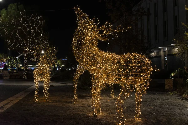 Decorazione Delle Renne Natalizie Tirana Albania — Foto Stock