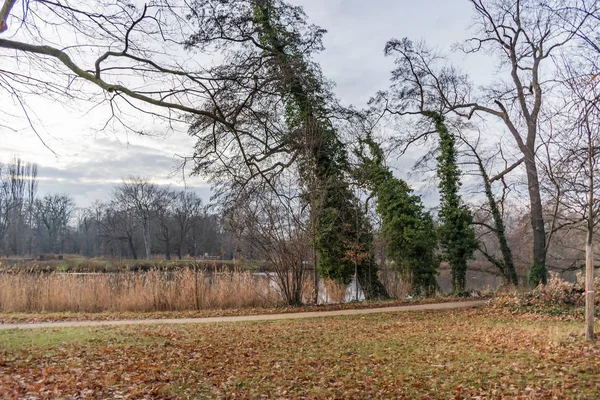 Winter Landscape Karpfenteich Lake Charlottenburg Palace Berlin Germany — Stock Photo, Image