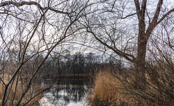 Зимовий Пейзаж Karpfenteich Озером Недалеко Від Палацу Шарлоттенбург Берліні Німеччина — стокове фото