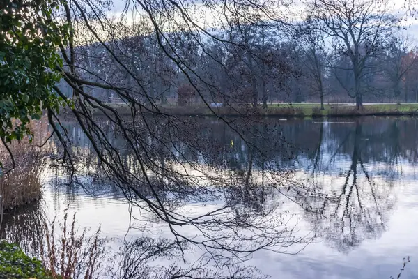 Зимний Пейзаж Озера Карпентейх Возле Шарлоттенбургского Дворца Берлине Германия — стоковое фото