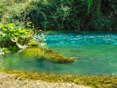 Mavi göz pınarı