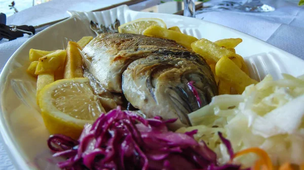 Grilled Gilt-head Beam fish — Stock Photo, Image