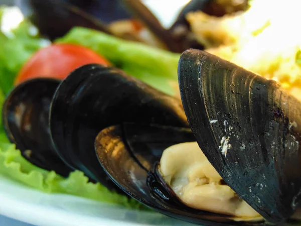 Mix Seafood salad — Stok Foto