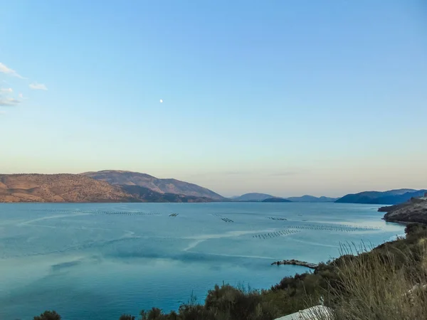 Midye tarım lagünü.