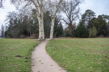 Bahçe Krallığı Görünümü.