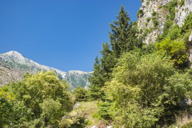 Llogara Ulusal Parkı görünümü.