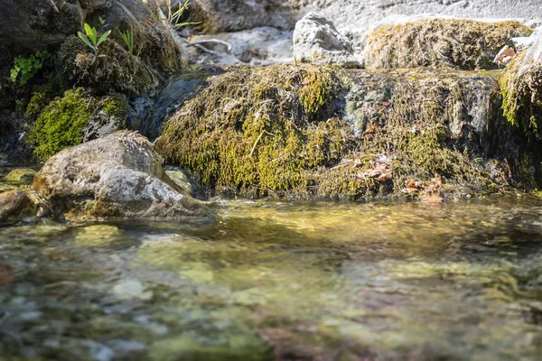 Natural spring water flow. — Stock Photo, Image