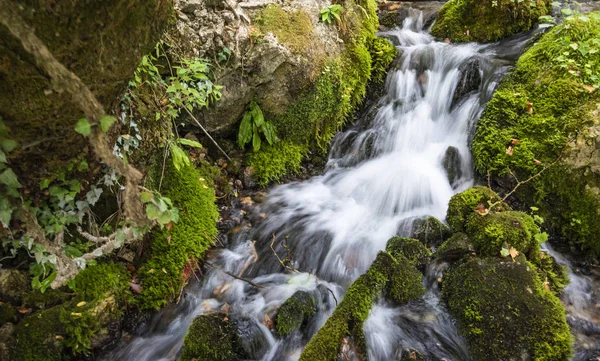 The Cold Water spring of Tepelena City.