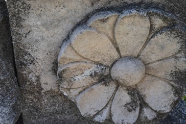 Antik roma duvarında çiçek desenlerini betimleyen taş oyma