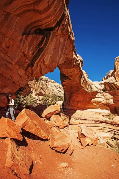 Młoda Kobieta Wycieczkowicz Hickman Natural Bridge Parku Narodowego Capitol Reef — Zdjęcie stockowe