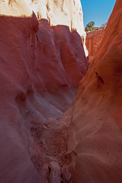 Dryfork Slot Canyon One Several Slot Canyons Vicinity Escalante — Stock Photo, Image