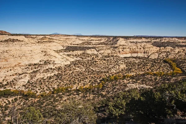 Vista Panorámica Desde Mirador Hogback Ruta Escénica Utah — Foto de Stock