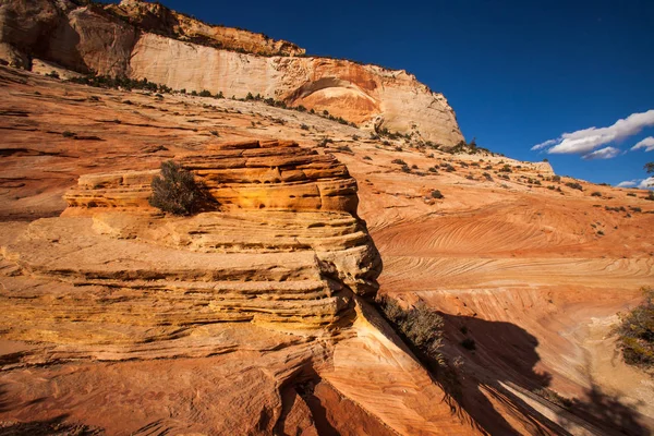Nevada Sandstone Zion Ulusal Parkı Nda Çapraz Yataklı Utah Usa — Stok fotoğraf