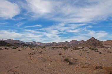 Richtersveld Ulusal Parkı Güney Afrika 'nın tek dağ çöl parkı. Namibya 'daki AiAis Ulusal Parkı ile birlikte Trans Frontier Park' ı kurdular..