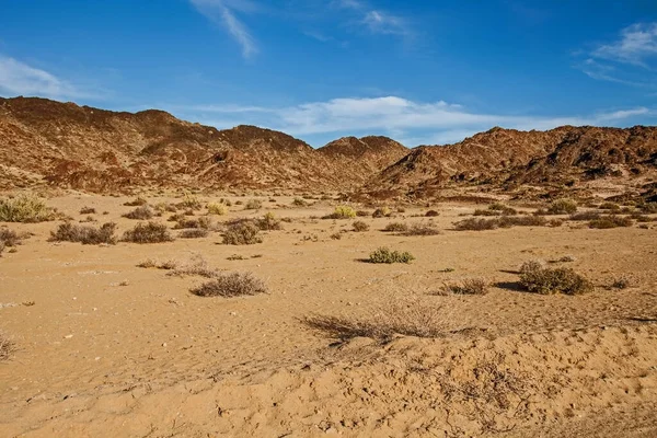 Het Nationaal Park Richtersveld Het Enige Woestijnpark Zuid Afrika Het — Stockfoto