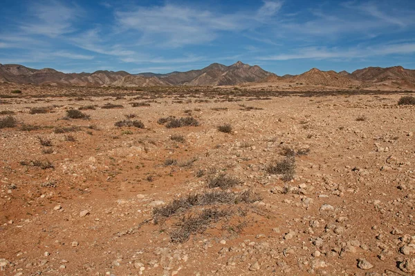 Het Nationaal Park Richtersveld Het Enige Woestijnpark Zuid Afrika Het — Stockfoto