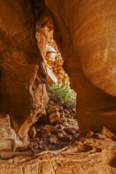 Batı Burnu Ndaki Cederberg Vahşi Bölgesi Nde Aşınmış Kumtaşı Oluşumları — Stok fotoğraf