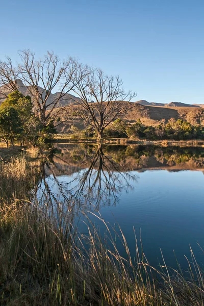 Malownicze Odbicia Bezlistnych Drzew Zimowych Jeziorze Drakensberg Królewski Park Narodowy — Zdjęcie stockowe