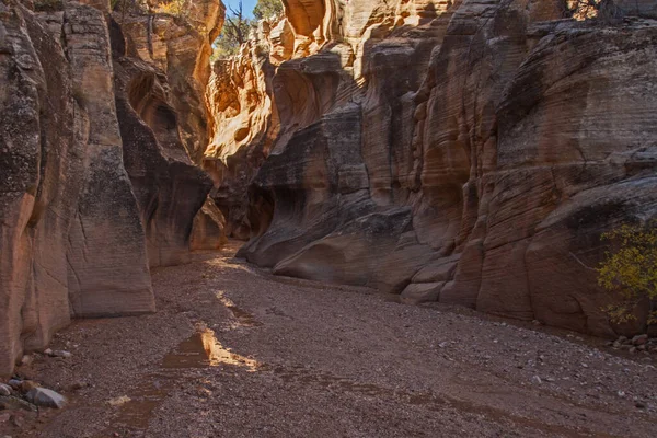 Willis Creek Slot Canyon Escalante Grand Staircase Nationaal Monument Zuid — Stockfoto