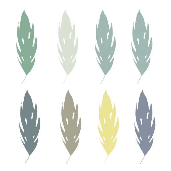 Набір Пальми Джунглів Тропічних Зелених Листя Ізольовані Білому Тлі Векторна — стоковий вектор