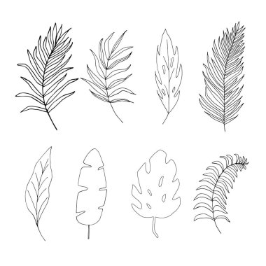 Beyaz arka plan üzerinde vektör illüstrasyon izole siluetleri tropikal kümesi bırakır