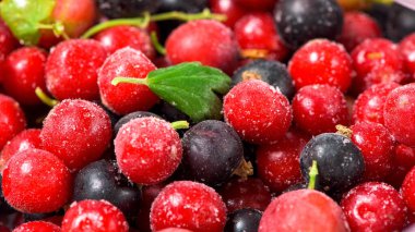 donmuş kiraz, ahududu, kuşüzümü torbalarda, yukarıdan yakından görüntü..