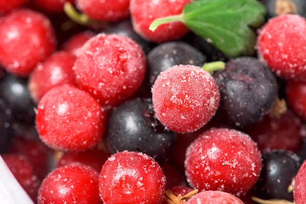 Cerise Aux Fruits Congelée Framboise Cassis Sacs Vue Rapprochée Haut — Photo