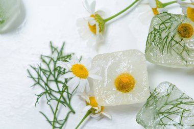 Papatyalı kozmetik buz küpleri ve evde bakım için nane şekeri yüz için kullanılır. Cilt bakımı kavramı. Hafif arka planda bitkilerle kozmetik ürünleri.