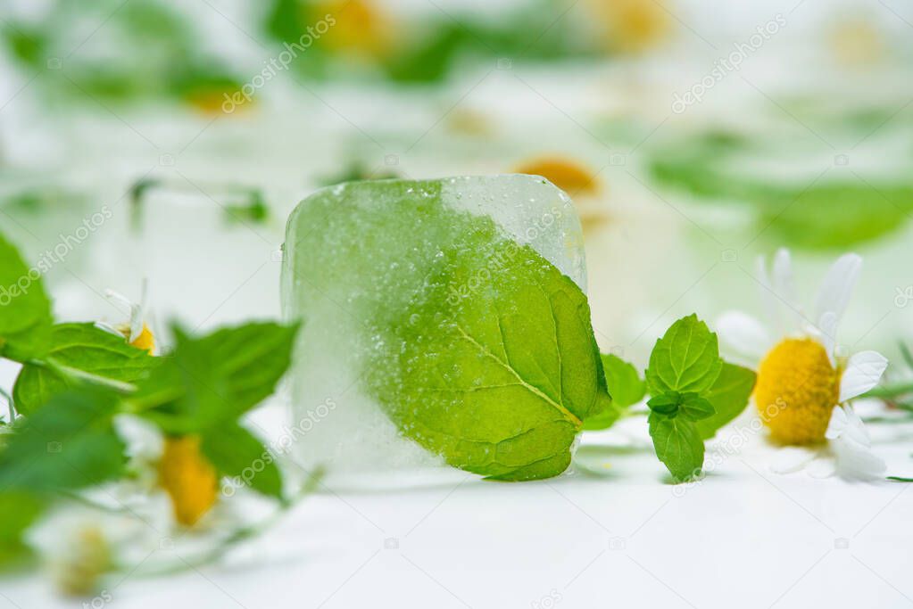 cosmetic ice cubes with chamomile and mint for home care applies to the face. The concept of skin care. cosmetics with herbs on a light background.