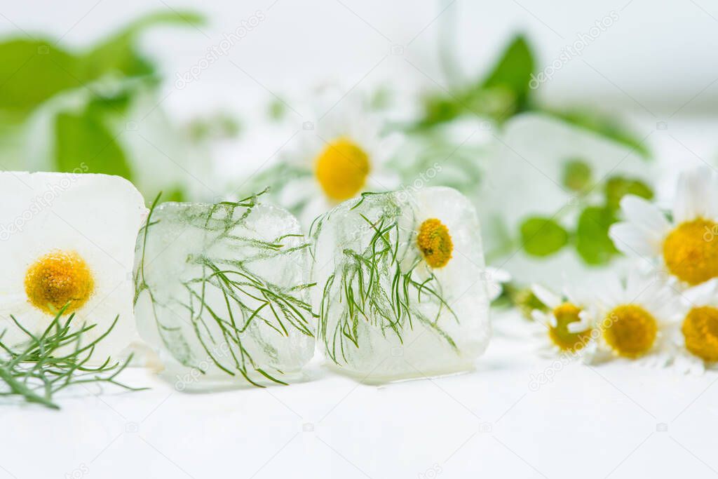cosmetic ice cubes with chamomile and mint for home care applies to the face. The concept of skin care. cosmetics with herbs on a light background.