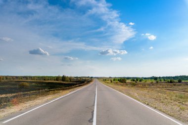 Ateşin ortasındaki yol, yazdaki yangından sonra sol çam ormanı. Yanmış otlar. Yolun sağında yeşil bir orman ve tarla var. Taze yeşil çimenler..
