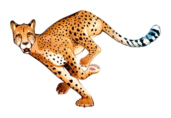 Running cheetah in horizontal pose — Stock Vector