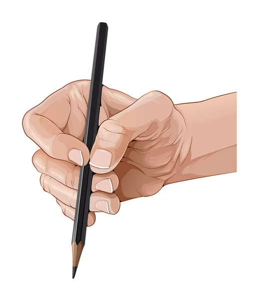 Isolated Hand Holding Pencil Vector Illustration — Stock Vector